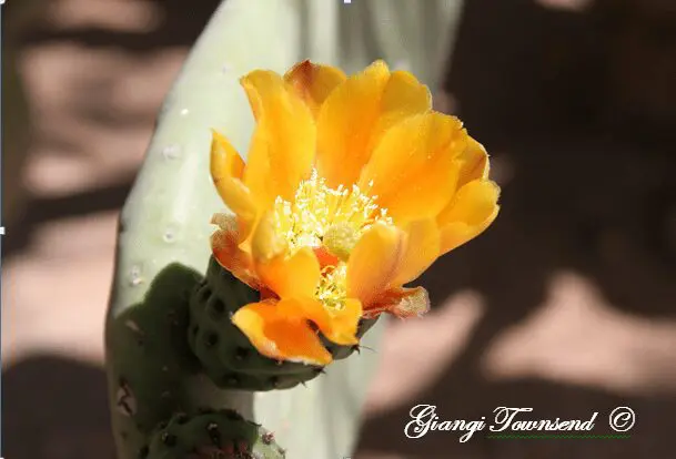 Spring Is Finally Here!
