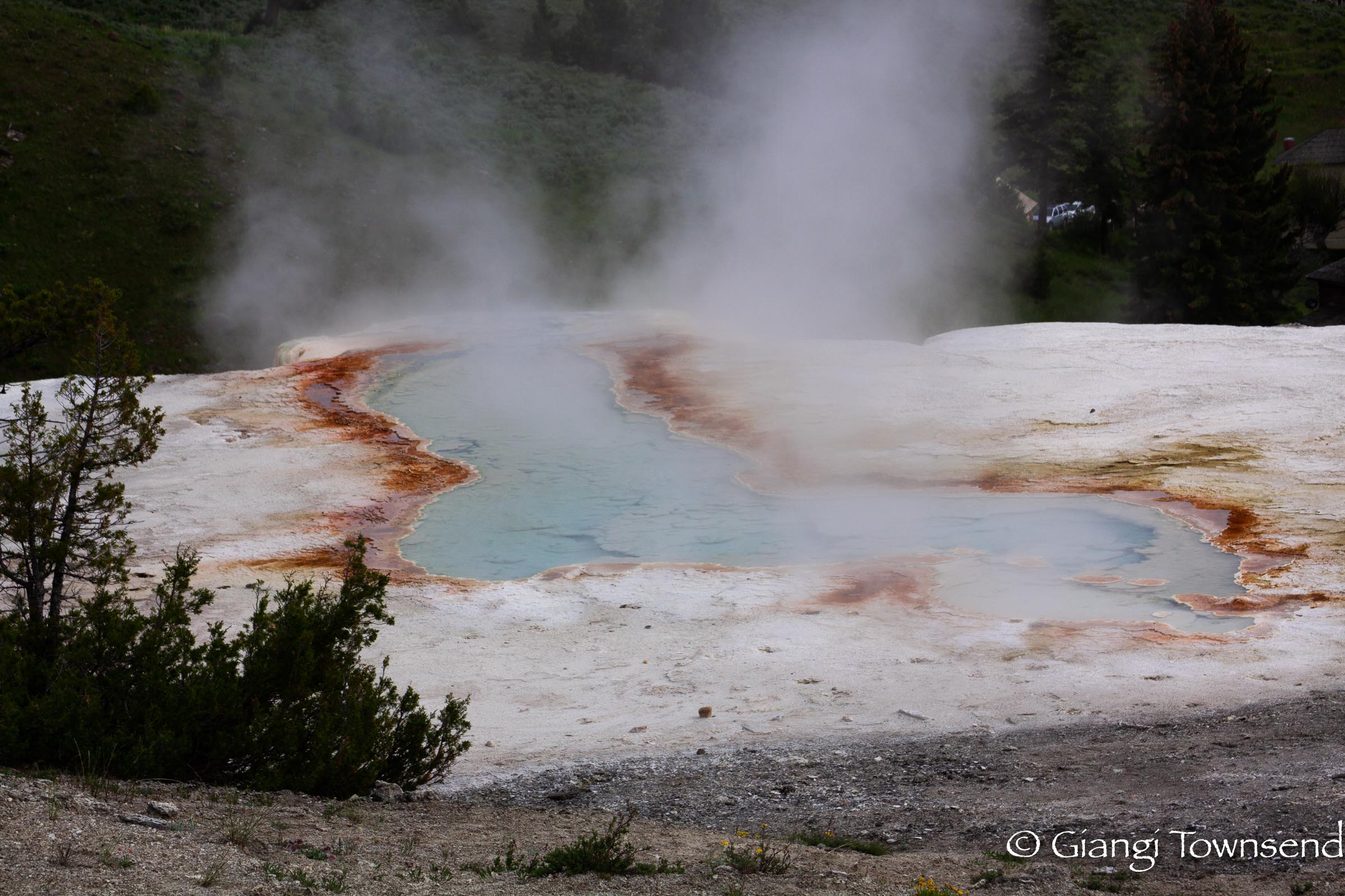 Yellowstone National Park