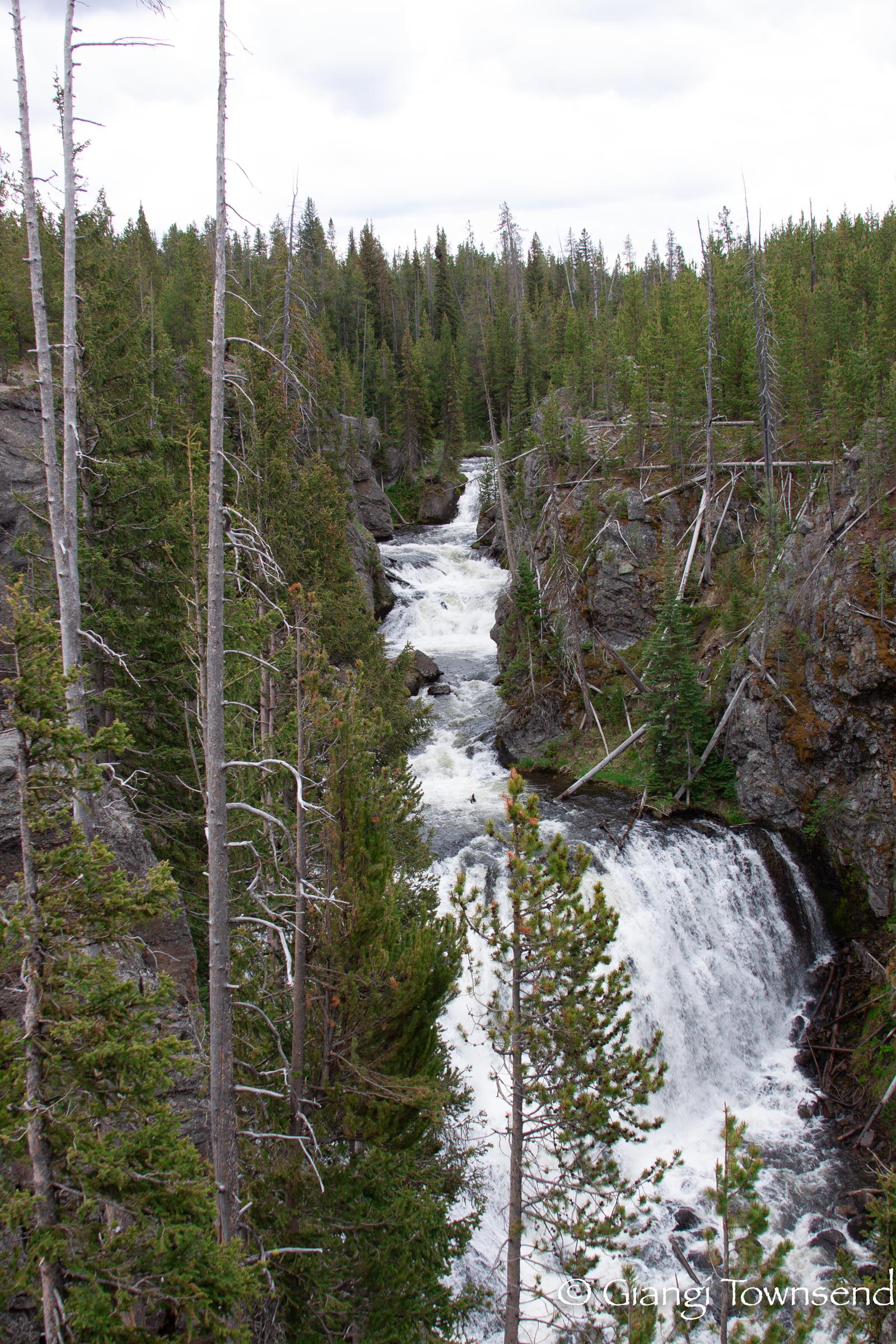 Yellowstone National Park