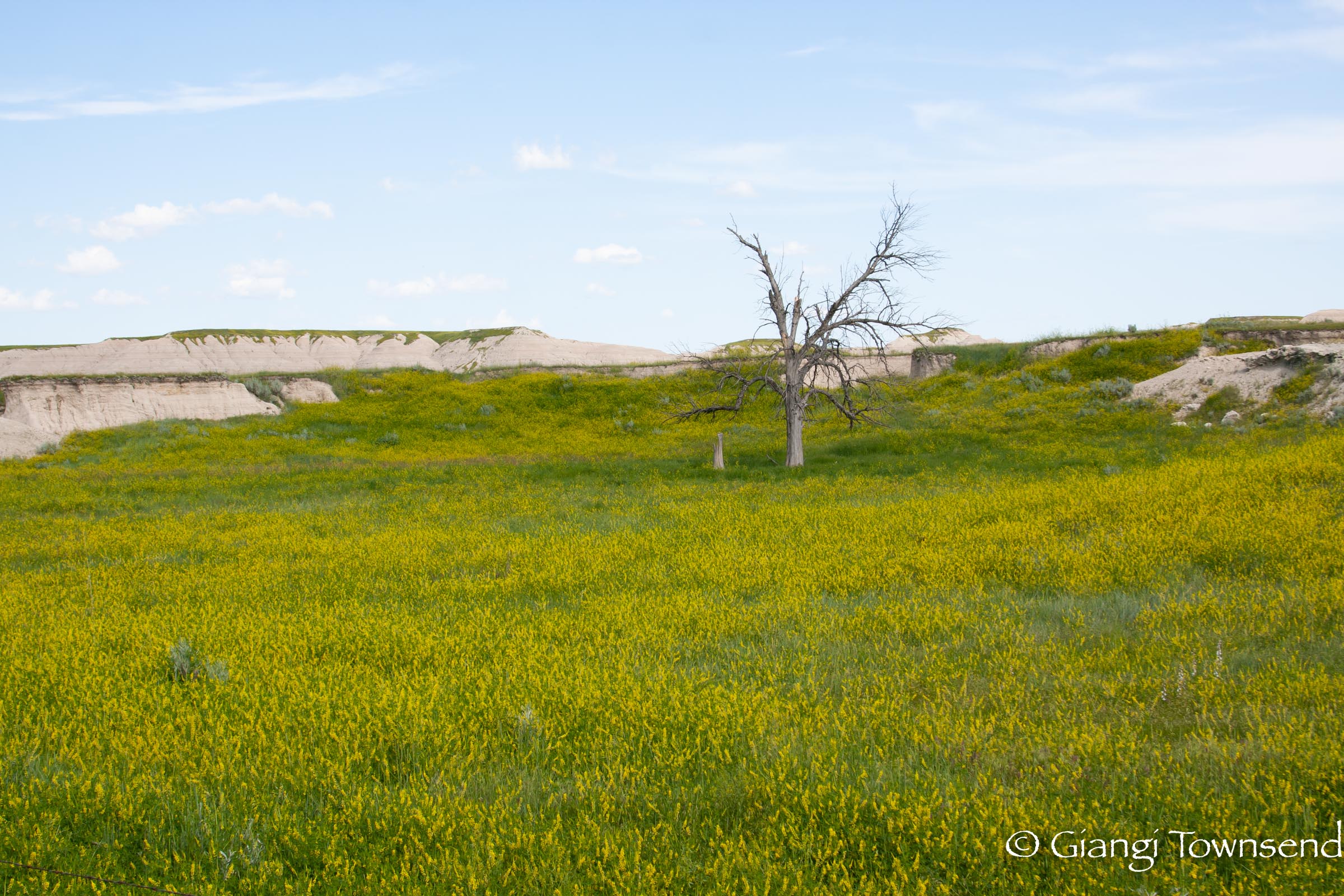 Badlands National Park