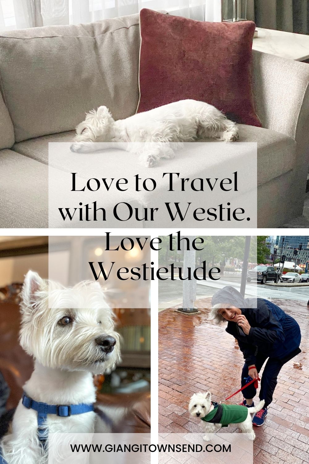 Love to Travel with Our Westie. Love the Westietude